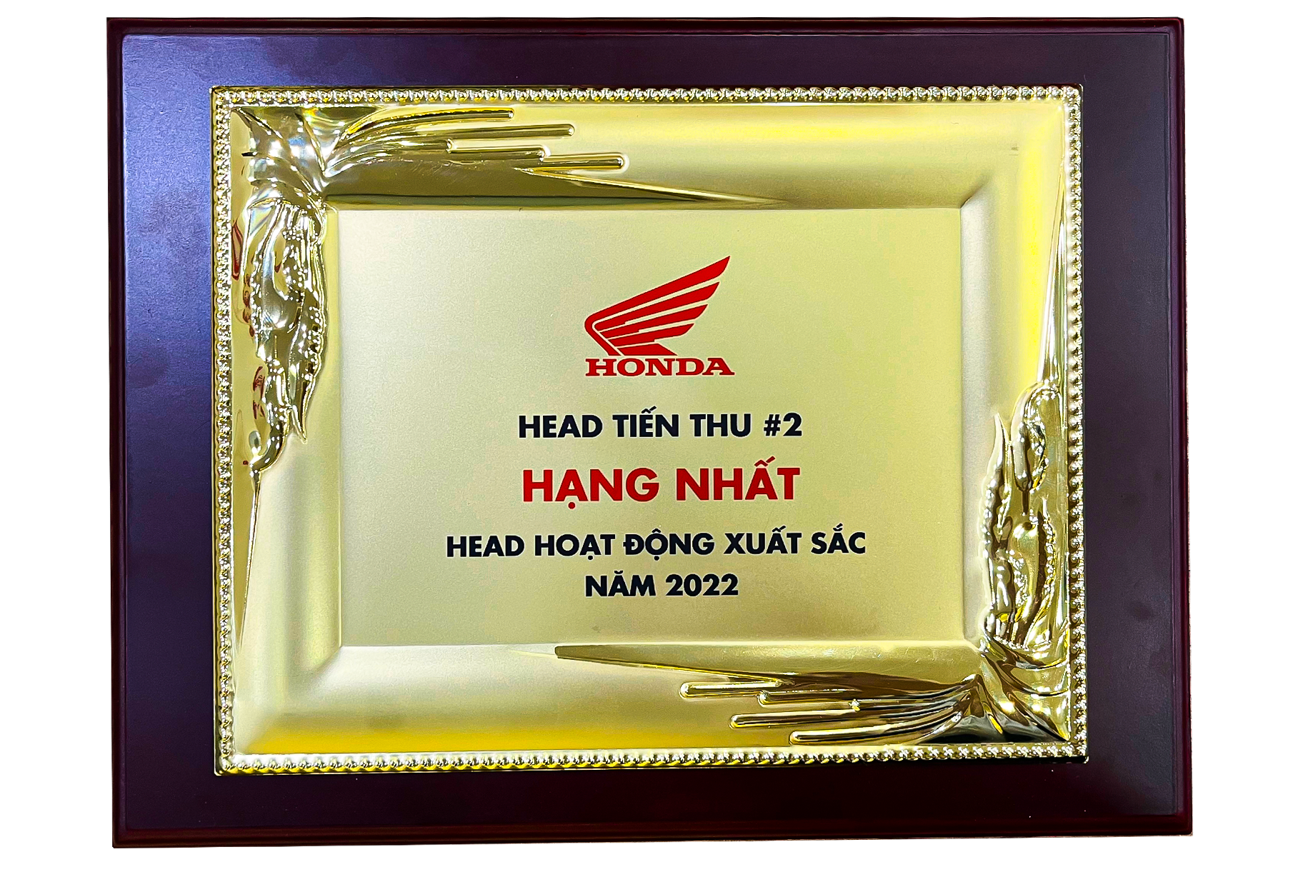 Hạng Nhất HEAD Hoạt Động Xuất Sắc Năm 2022