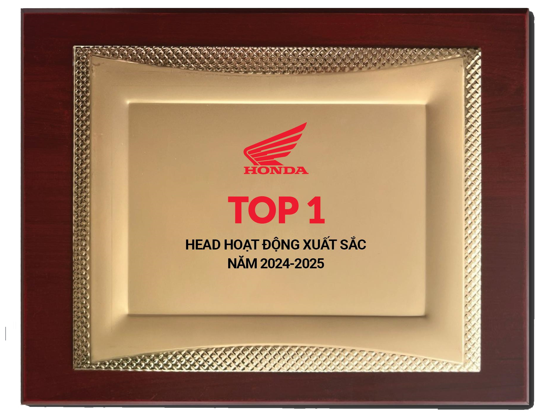 Hạng Nhất HEAD Hoạt Động Xuất Sắc Năm 2024-2025